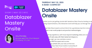 Datablazer NYC